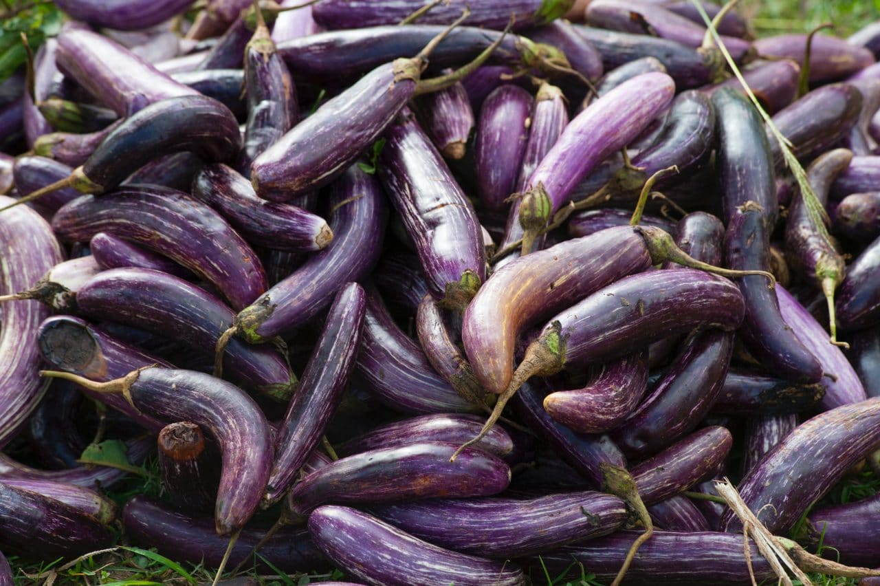 Close up on a bunch of eggplants.