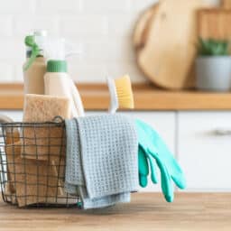 bundle of cleaning supplies sitting on kitchen counter